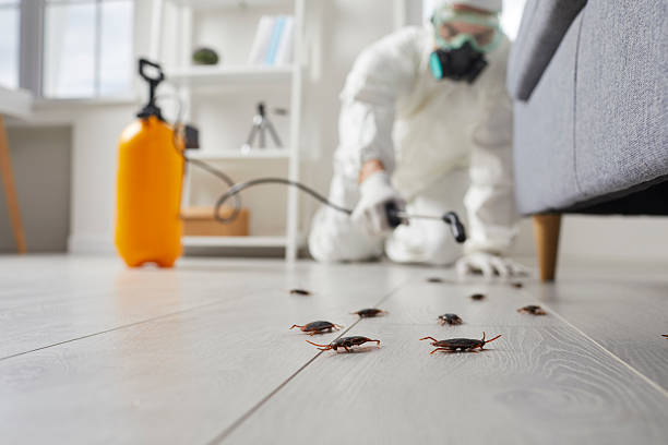 Post-Treatment Bed Bug Interceptor Monitoring in Williamsburg