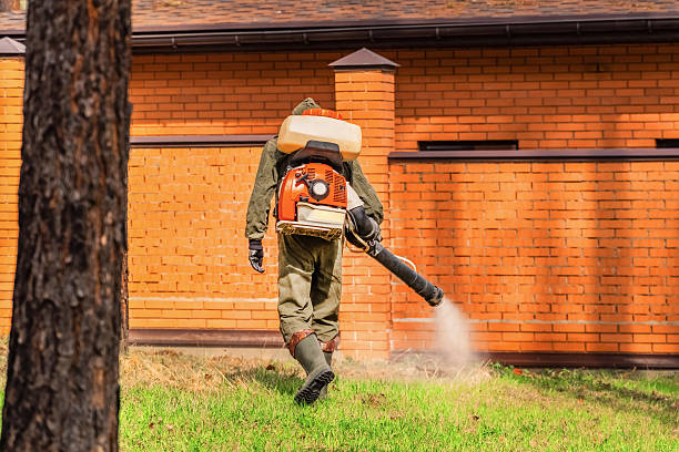 Bed Bug Clearance Verification and Documentation in Williamsburg